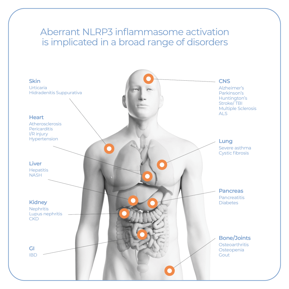 3D render of human body with orange dots pointing to major organs and related disorders associated with NLRP3 inflammasome activation.